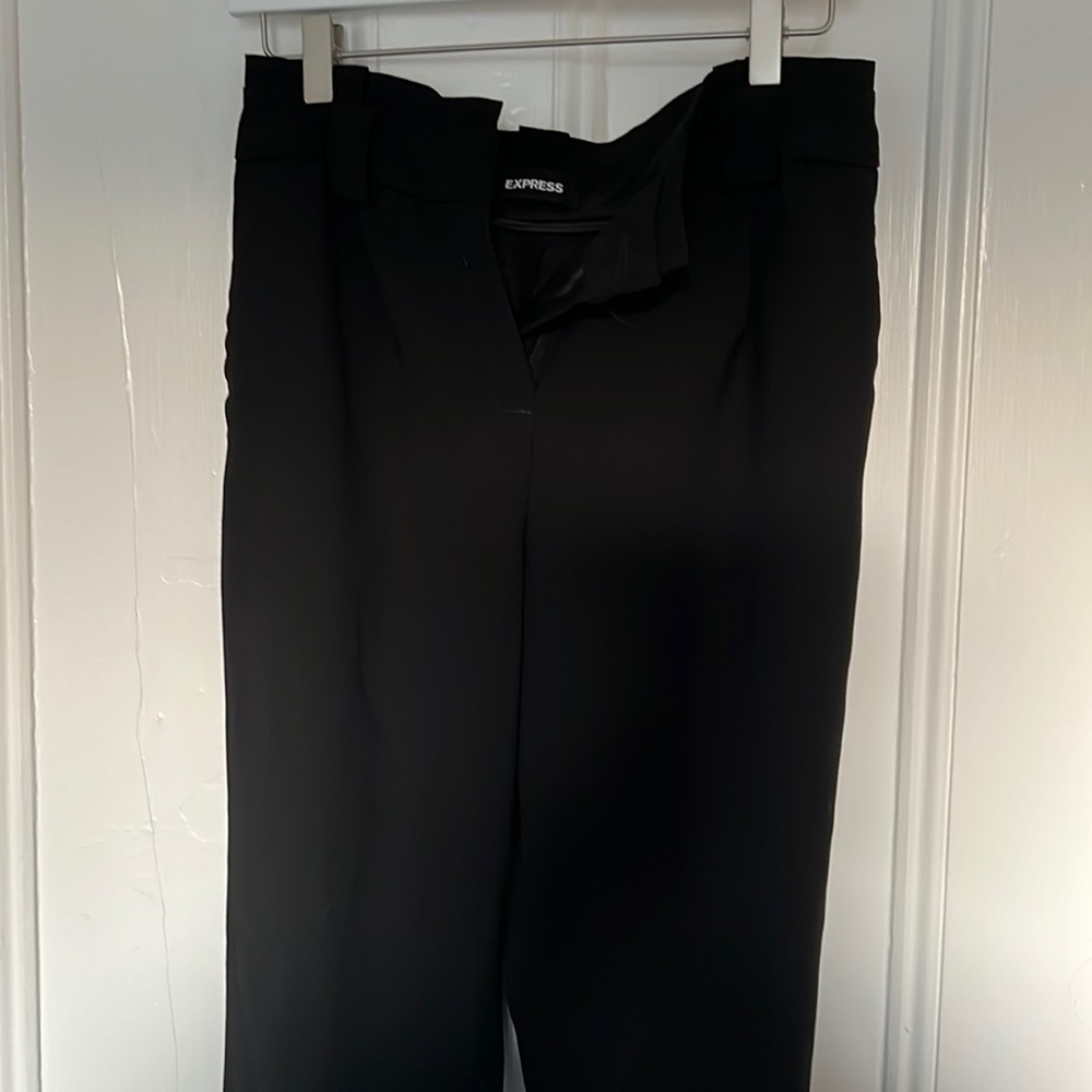 Express Dress Pants